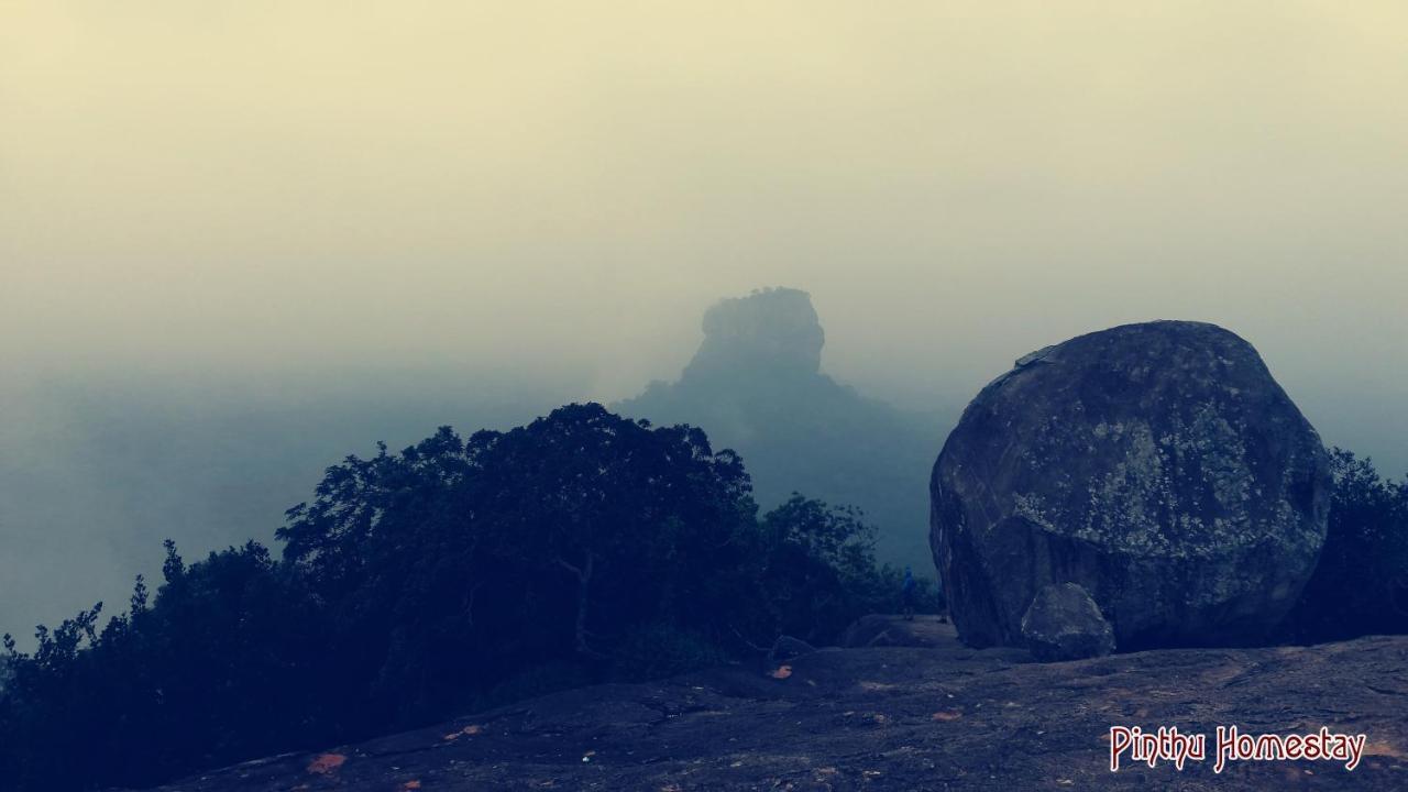 Pinthu Home Stay Sigiriya Ngoại thất bức ảnh