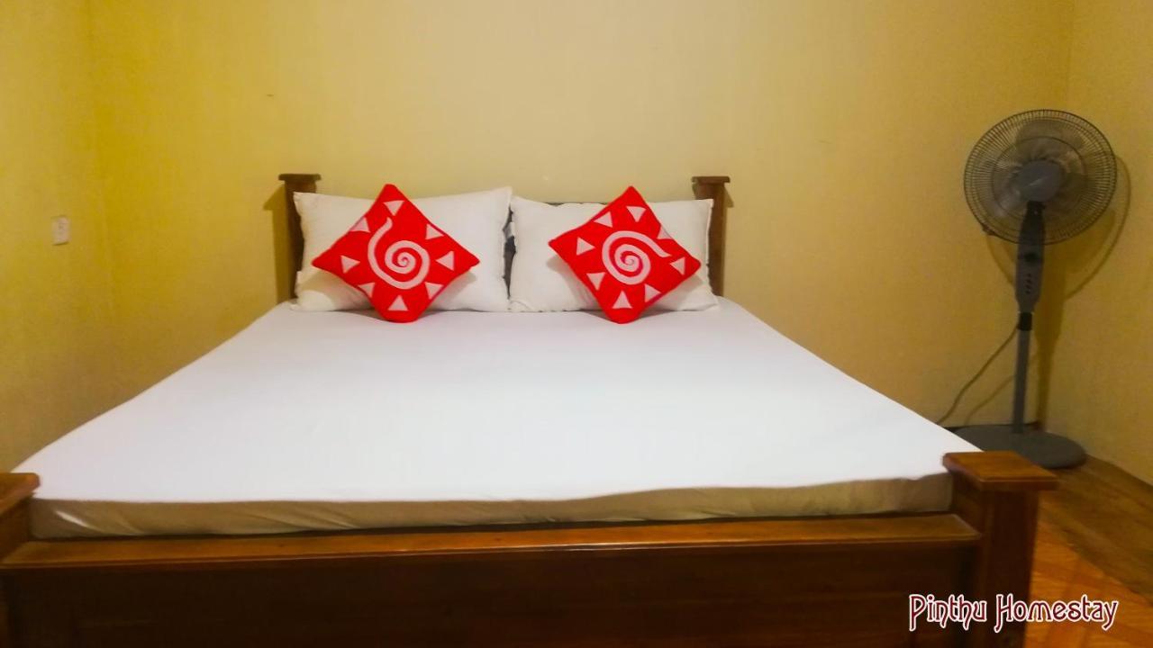 Pinthu Home Stay Sigiriya Ngoại thất bức ảnh