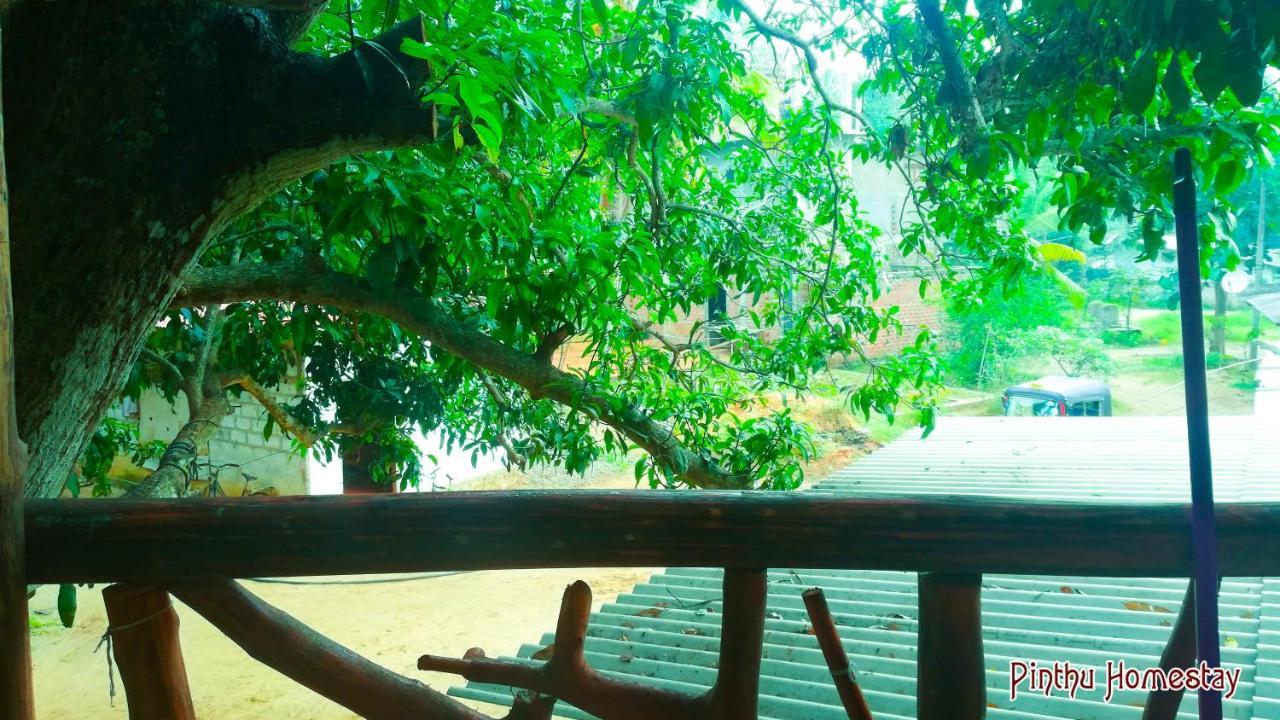 Pinthu Home Stay Sigiriya Ngoại thất bức ảnh